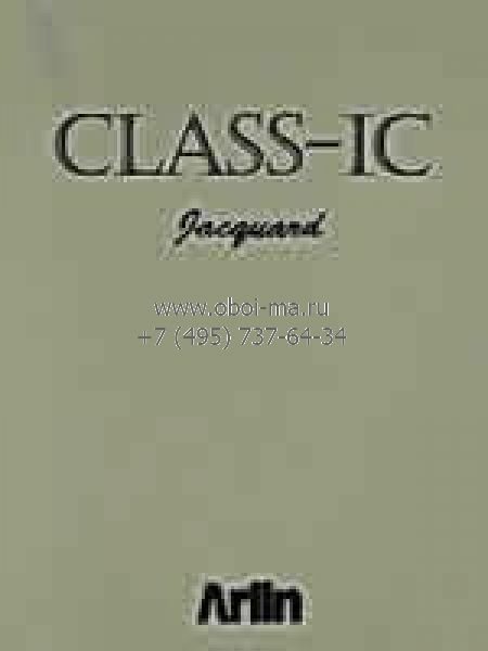 Class-IC