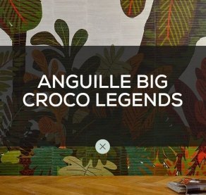 Anguille Big Croco Legends