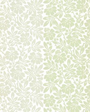 Обои Little Greene Painted Papers Painted Papers 0286CTORCHA изображение 0