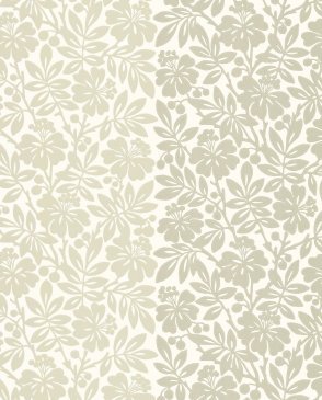Обои Little Greene Painted Papers Painted Papers 0286CTSOLTI изображение 0
