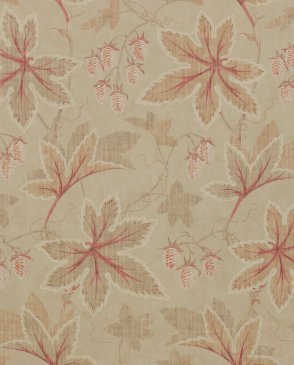 Обои Colefax and Fowler Lindon Wallpapers Lindon Wallpapers 07173-03 изображение 0