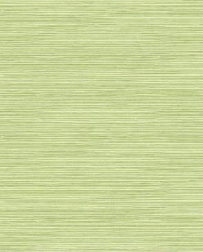 Обои SEABROOK зеленые Tortuga TA21704 изображение 0