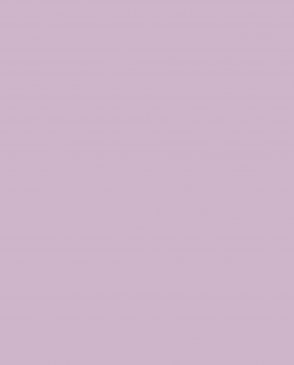 Обои CASADECO фиолетовые Rose n Nino 29695217 изображение 0