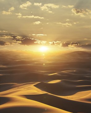 Обои MARBURG Dune с сюжетным рисунком Dune 32545 изображение 0