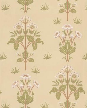 Обои Morris&Co Archive Wallpapers Archive Wallpapers 210350 изображение 0