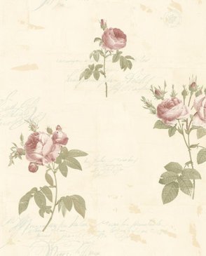 Обои AURA Rose Garden бумажные Rose Garden CG28861 изображение 0