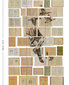 Обои с книгами Biblioteca Wallpaper EKA-01 изображение 0