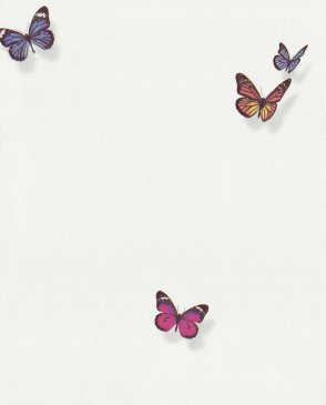 Обои с бабочками, насекомыми Spectrum Max 54363-1 изображение 0
