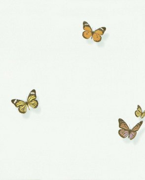 Обои с бабочками, насекомыми для детской Spectrum Max 54363-4 изображение 0