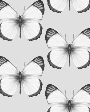 Обои с бабочками, насекомыми для детской Cheradi 54401-1 изображение 0