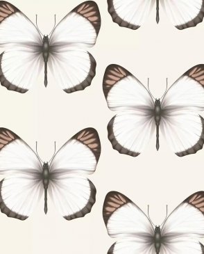 Обои с бабочками, насекомыми для детской Cheradi 54401-2 изображение 0