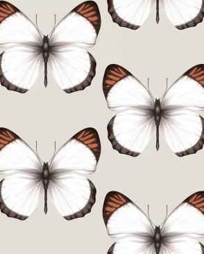 Обои с бабочками, насекомыми для детской Cheradi 54401-3 изображение 0