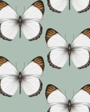 Обои с бабочками, насекомыми для детской Cheradi 54401-4 изображение 0