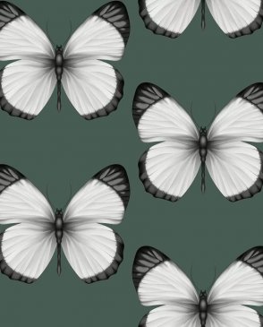 Обои с бабочками, насекомыми для детской Cheradi 54401-5 изображение 0
