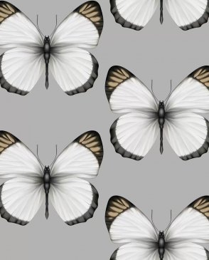 Обои с бабочками, насекомыми для детской Cheradi 54401-6 изображение 0