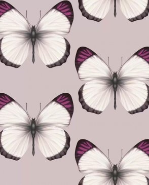 Обои с бабочками, насекомыми для детской Cheradi 54401-7 изображение 0