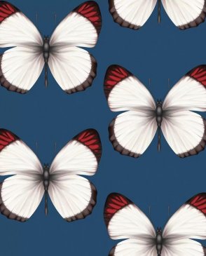 Обои с бабочками, насекомыми для детской Cheradi 54401-8 изображение 0