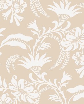 Обои COLE & SON Archive Traditional Archive Traditional 88-5019 изображение 0