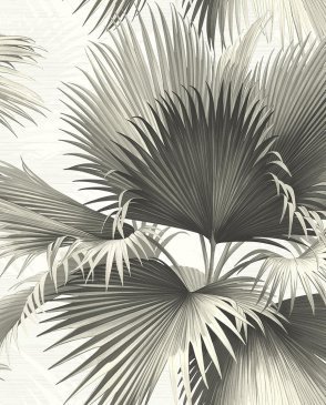 Обои KT-Exclusive Palm Springs с листьями Palm Springs PS40100 изображение 0