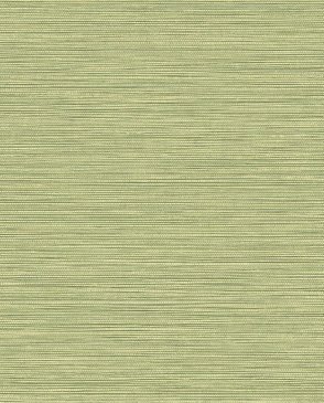 Обои KT-Exclusive зеленые Texture Gallery BV30104 изображение 0