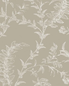 Обои COLE & SON Archive Traditional Archive Traditional 88-1001 изображение 0