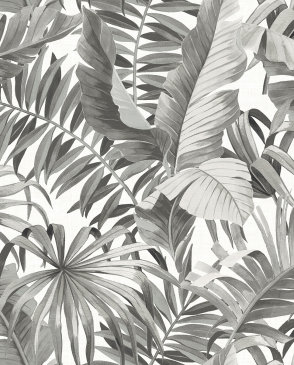 Обои AURA Pacifica с листьями Pacifica FD24134 изображение 0
