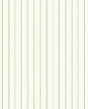 Обои AURA Simply Stripes зеленые Simply Stripes SY33930 изображение 0