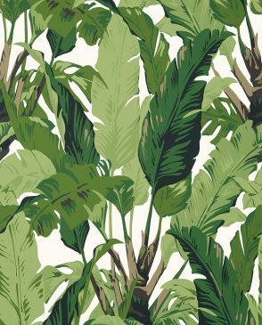 Обои THIBAUT с листьями Tropics T10127 изображение 0