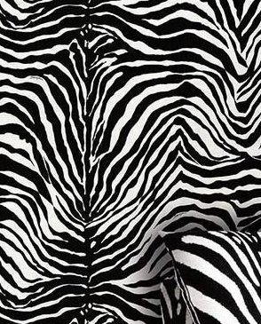 Обои черно-белые Dolce&Gabbana №1 30020DG изображение 1