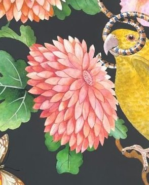 Обои Clarke & Clarke с цветами Botanical Wonders W0130-04 изображение 1