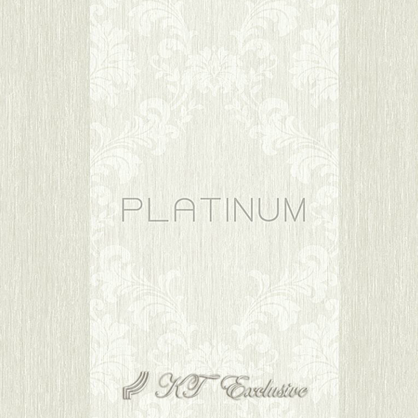 Platinum Modern