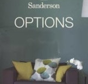 Options 10
