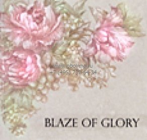 Blaze of Glory