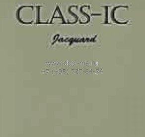 Class-IC