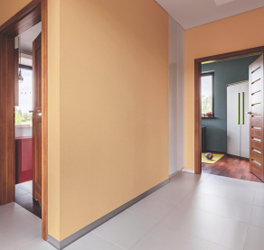 Intense Resistance Plus Износостойкая краска для стен и для потолков