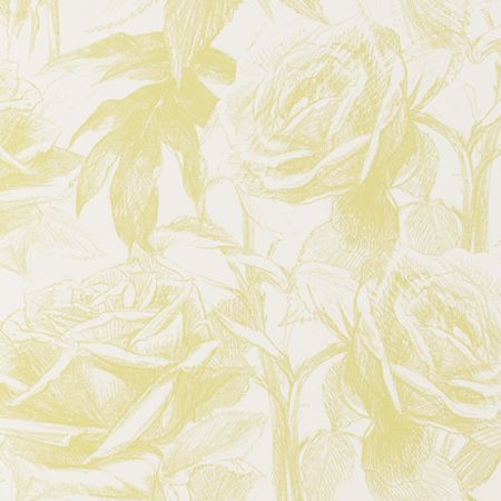 Обои Clarke & Clarke Floribunda W0037-08