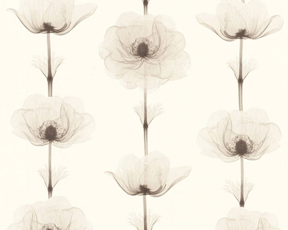 Обои A.S. Creation X-ray 34273-2