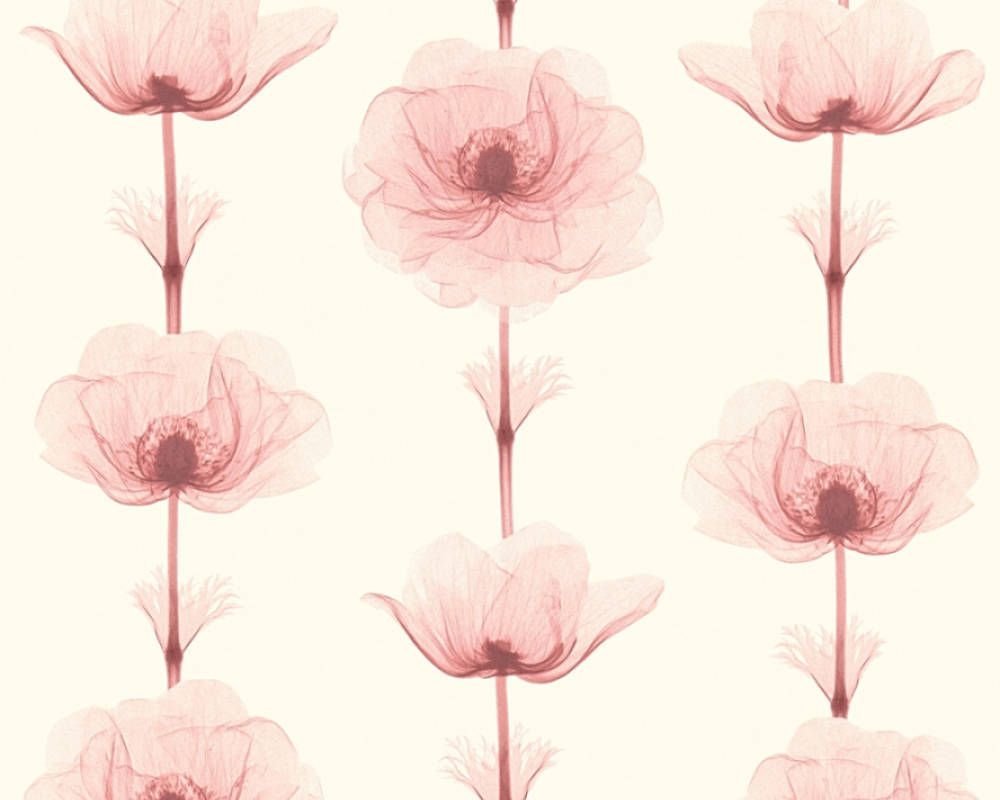 Обои A.S. Creation X-ray 34273-3