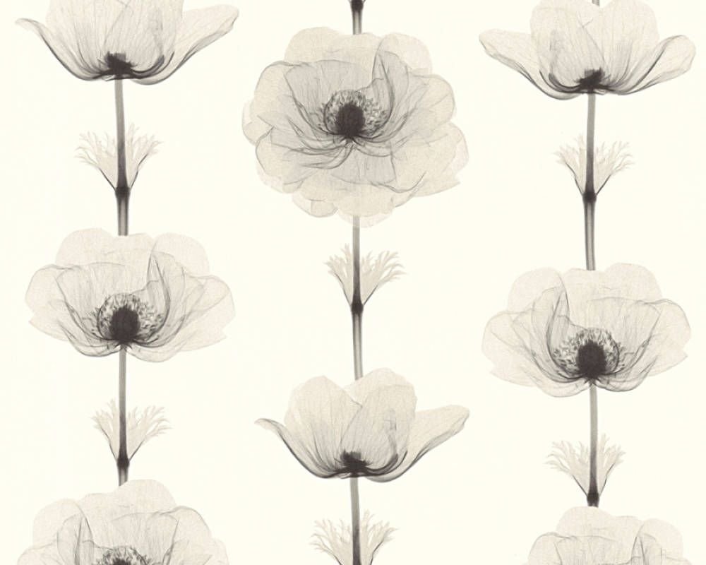 Обои A.S. Creation X-ray 34273-4