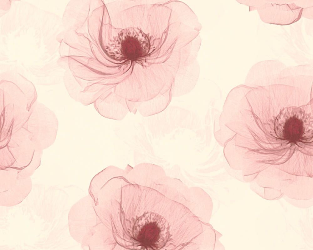 Обои A.S. Creation X-ray 34274-3