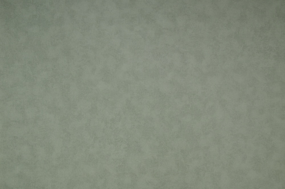 Обои NC Color 4050-030