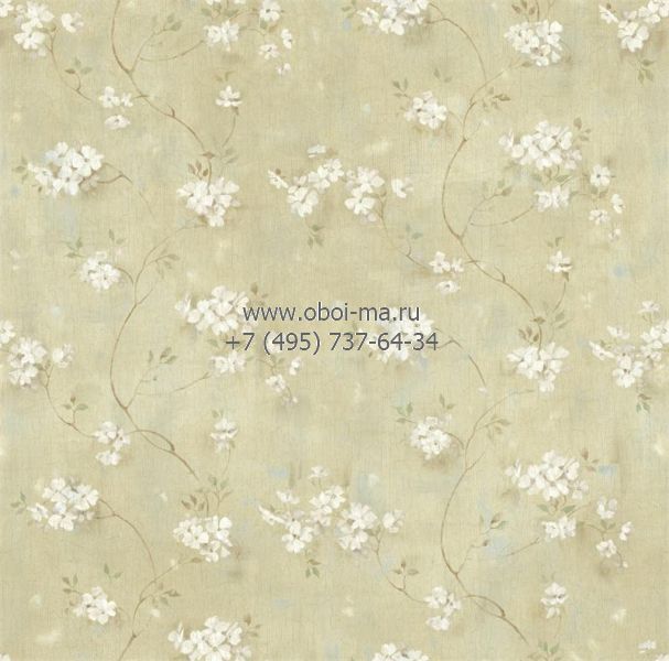 Обои Chesapeake Pure Country PUR44103