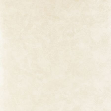 Обои Clarke & Clarke Floribunda W0035-04