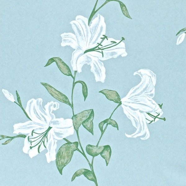 Обои Sanderson Painter's Garden DAPGSE103