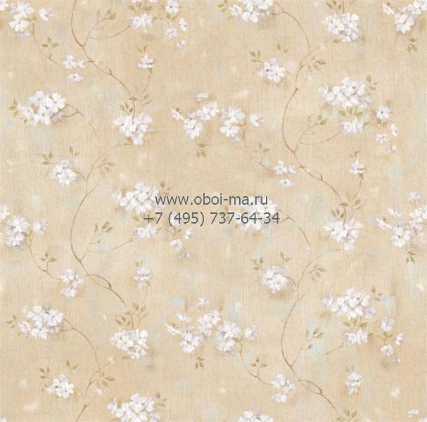 Обои Chesapeake Pure Country PUR44101