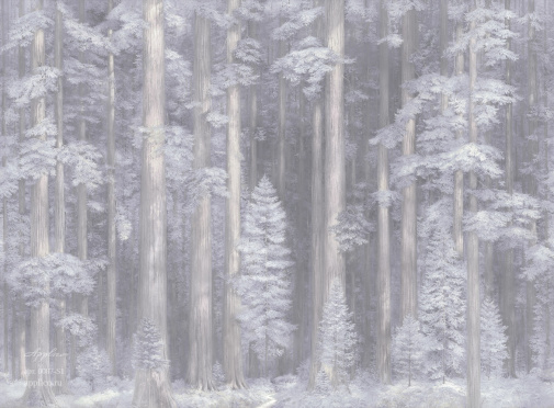 Фрески Applico Six 0087-S1 изображение 1