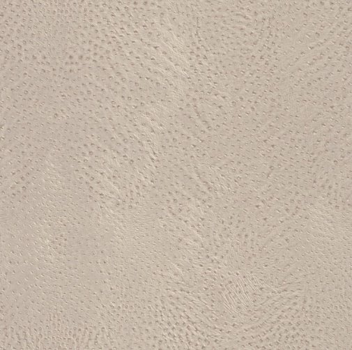 Обои Rasch African Queen II 423624 изображение 1