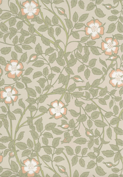 Обои Little Greene National Trust Papers 3 0263BRGMIST изображение 1