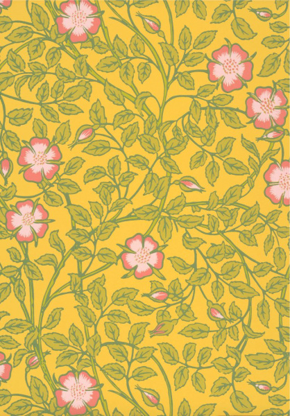 Обои Little Greene National Trust Papers 3 0263BRINDIA изображение 1