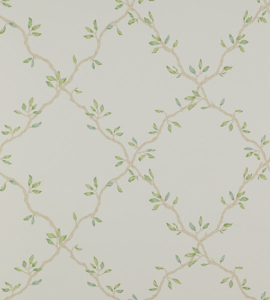 Обои Colefax and Fowler Small Design Wallpapers II 07706-03 изображение 1